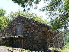  Göpelmühle in Las Tricias. 
